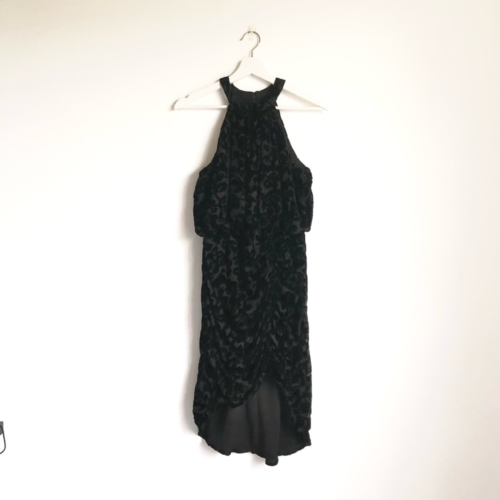 Monique Lhuillier Black Floral Velvet Burnout Halter Cocktail Dress Size 2P